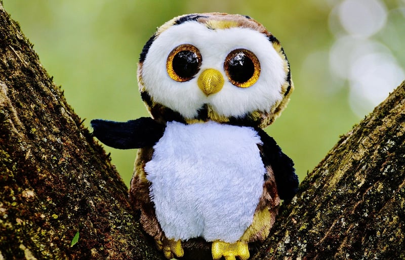 Toilet Paper Roll Owls